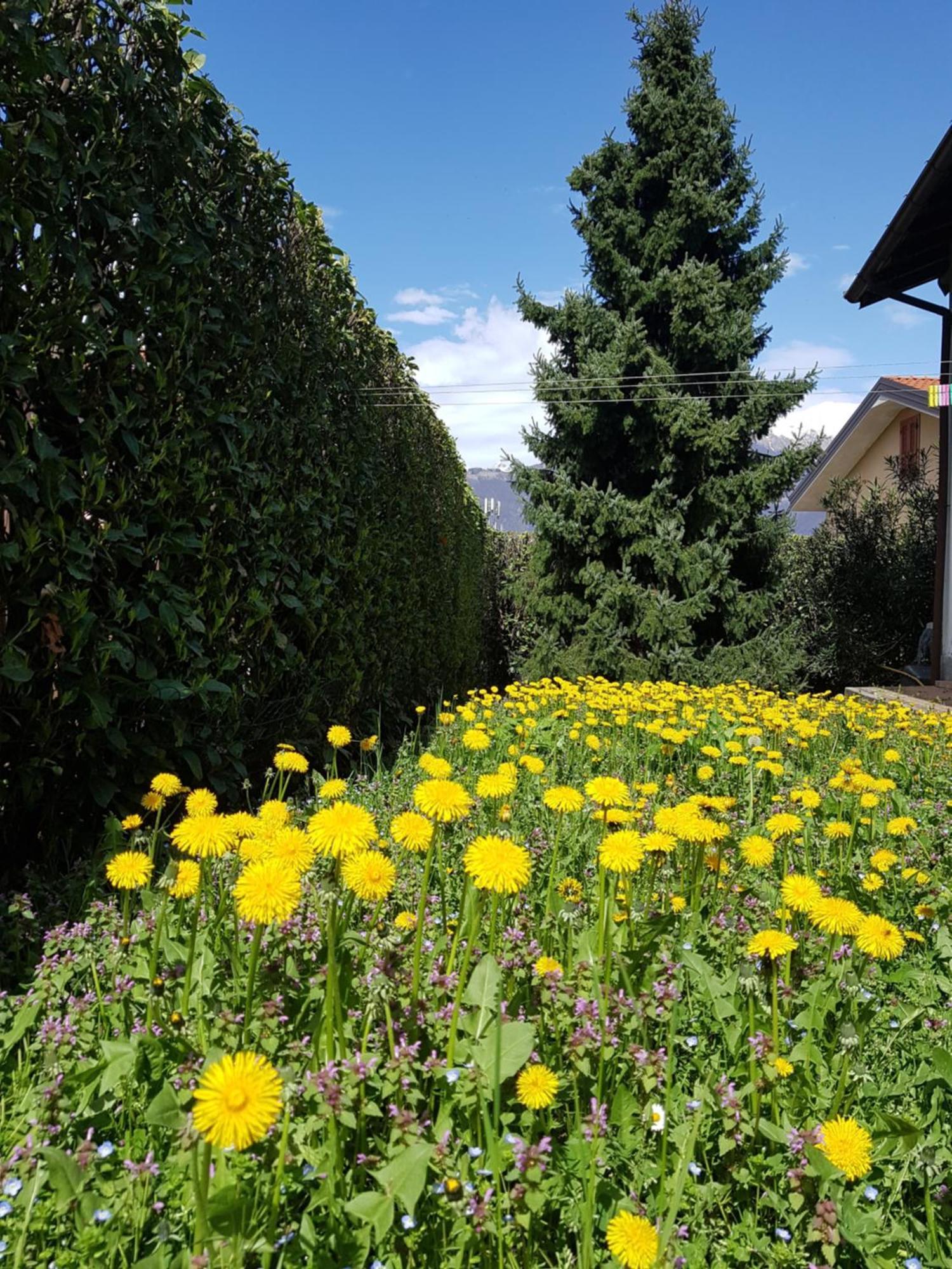 Villa Iris Colico Esterno foto